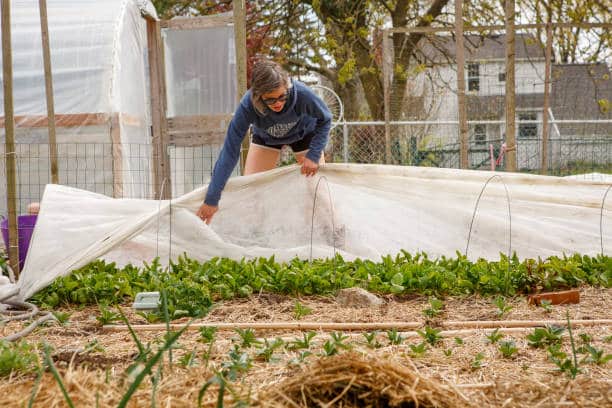 Agricultural Business Ideas