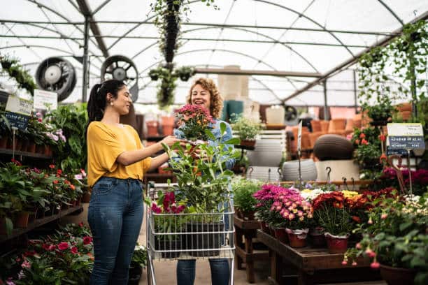 Plant Nursery Business