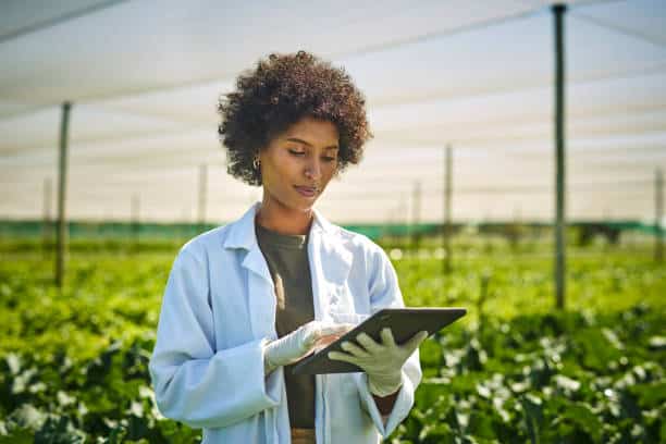 Plant Nursery Business