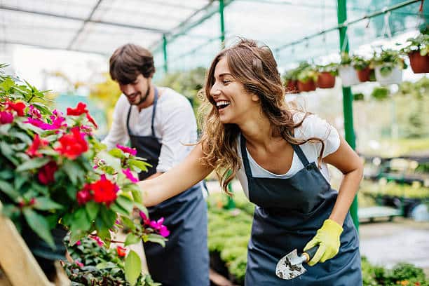 Plant Nursery Business