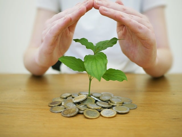 man growing plants with coins representing Passive Income Ideas